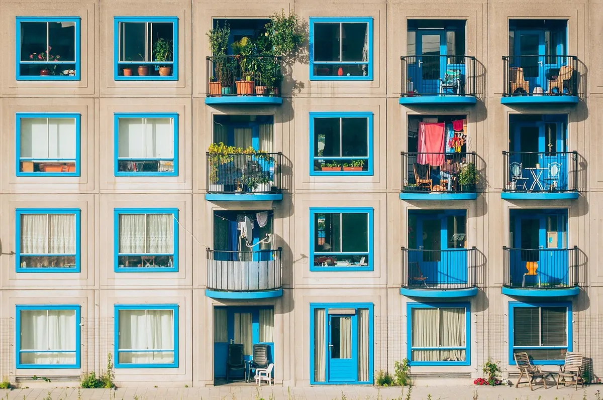 Balcony Vegetable Garden Checklist: What to Sow and Do Each Month